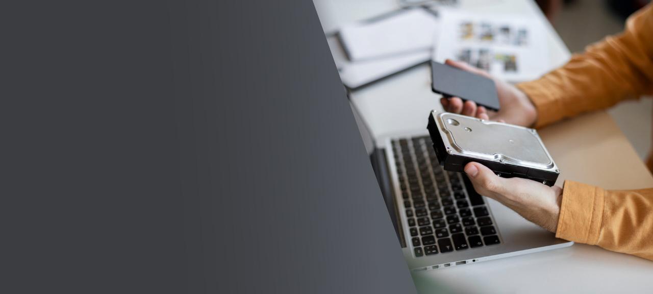 Professional Data Recovery Services