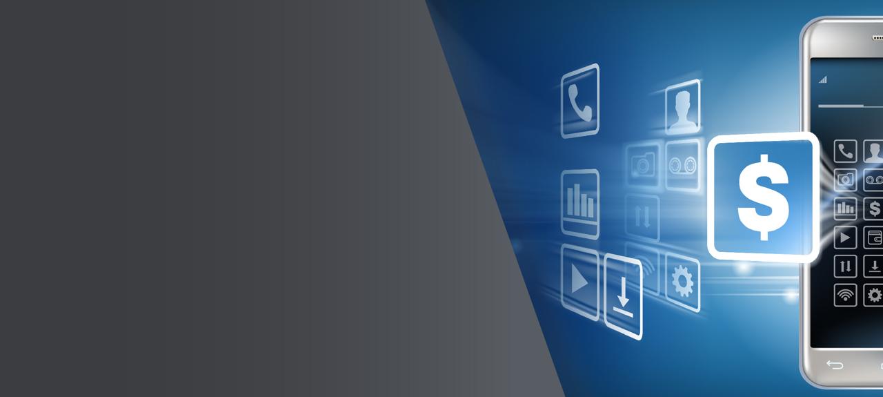 Data Recovery Payment Plan