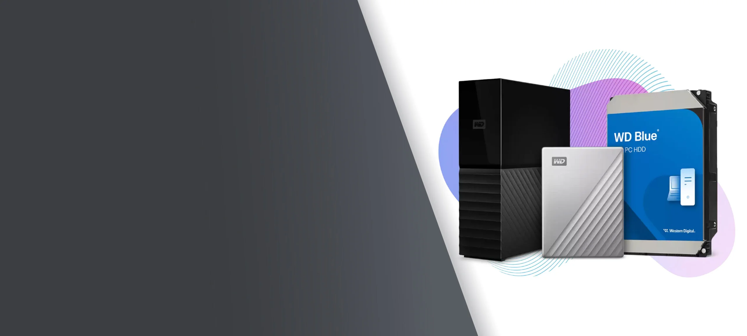 Western Digital Data Recovery Services