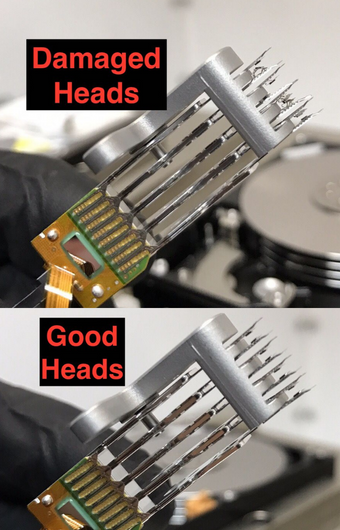 Good Heads vs Bad Heads