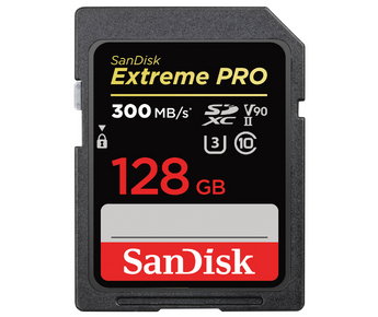 SD Card Data Recovery